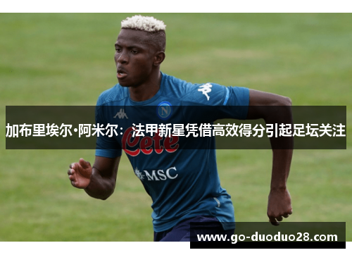 加布里埃尔·阿米尔：法甲新星凭借高效得分引起足坛关注