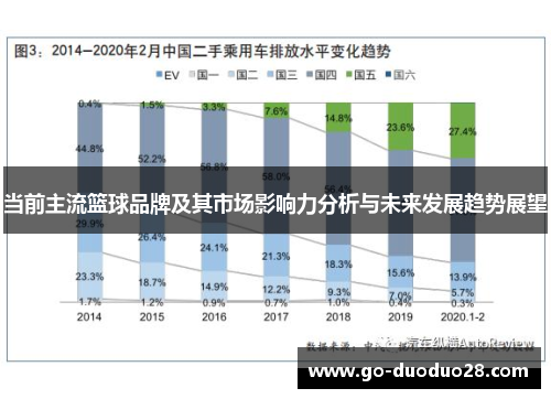 当前主流篮球品牌及其市场影响力分析与未来发展趋势展望