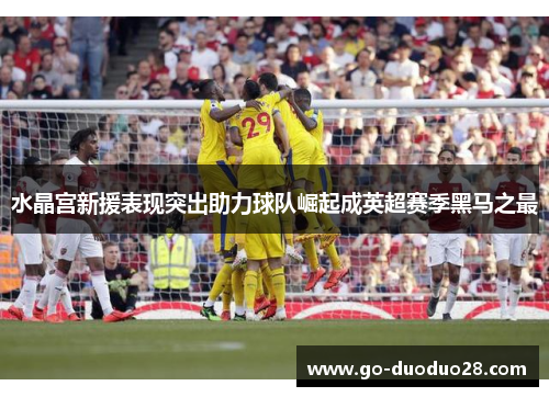 水晶宫新援表现突出助力球队崛起成英超赛季黑马之最