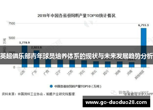 英超俱乐部青年球员培养体系的现状与未来发展趋势分析