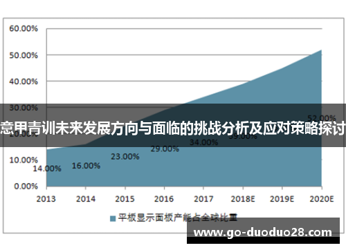 意甲青训未来发展方向与面临的挑战分析及应对策略探讨