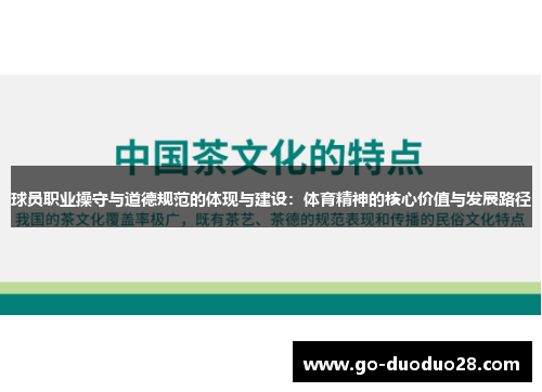 球员职业操守与道德规范的体现与建设：体育精神的核心价值与发展路径