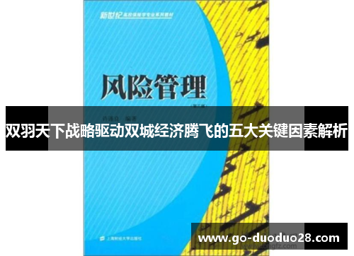 双羽天下战略驱动双城经济腾飞的五大关键因素解析