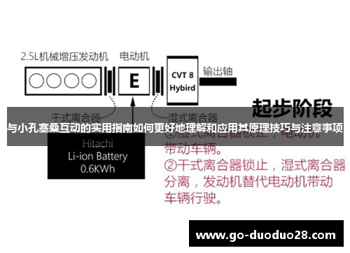与小孔塞桑互动的实用指南如何更好地理解和应用其原理技巧与注意事项