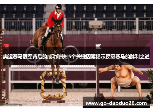 奥运赛马冠军背后的成功秘诀 5个关键因素揭示顶级赛马的胜利之道