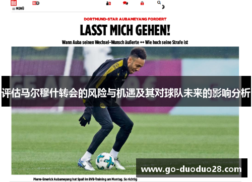 评估马尔穆什转会的风险与机遇及其对球队未来的影响分析 评估马尔穆什转会的风险与机遇及其对球队未来的影响分析